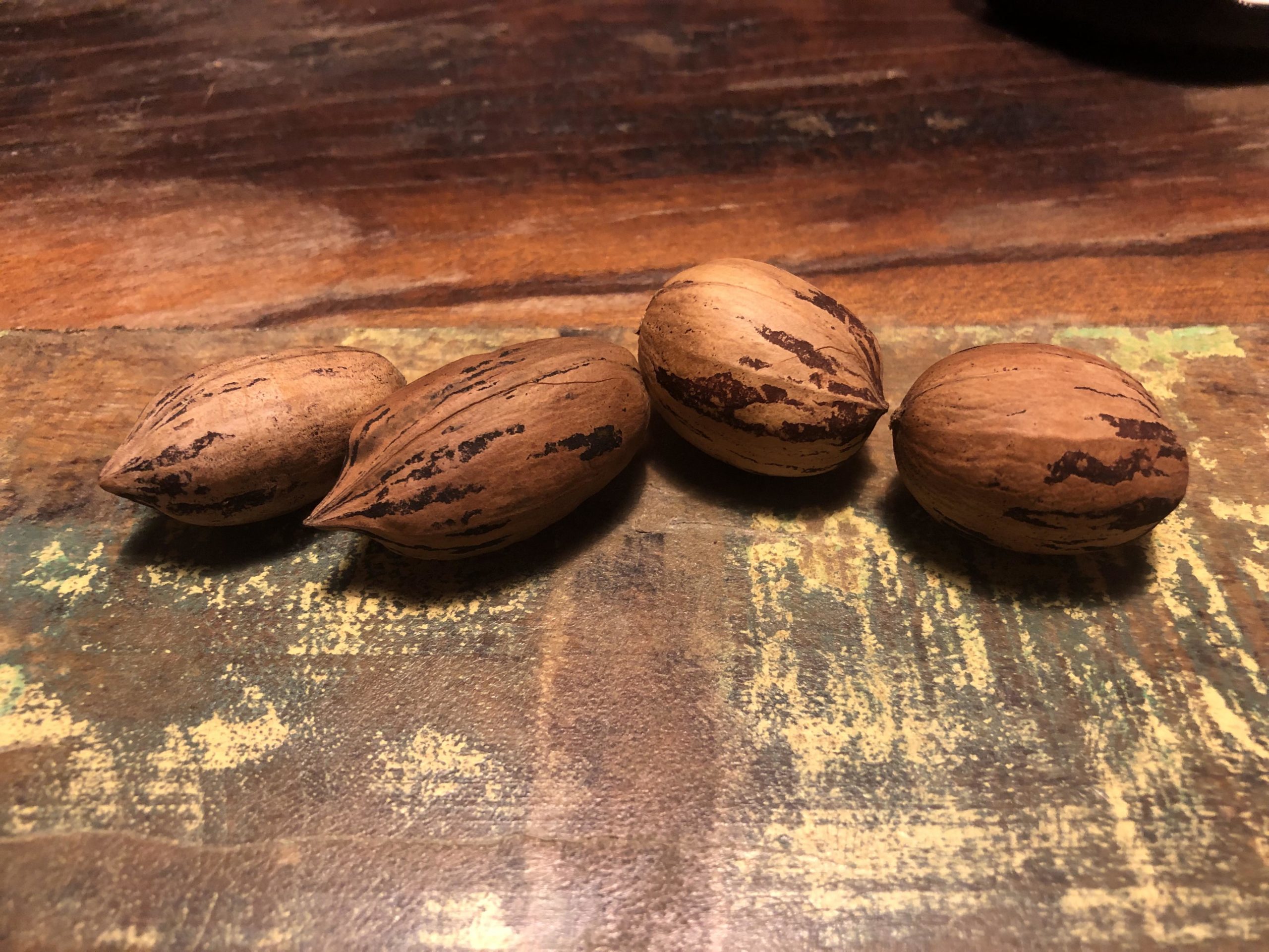 Young & Wanting to Farm, Trish & Brian McKeighen Pick Pecans