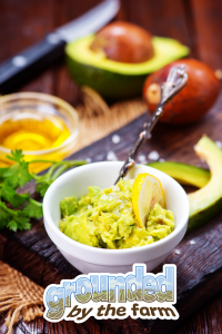 avocado recipes