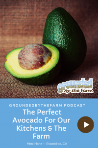 perfect avocado podcast episode