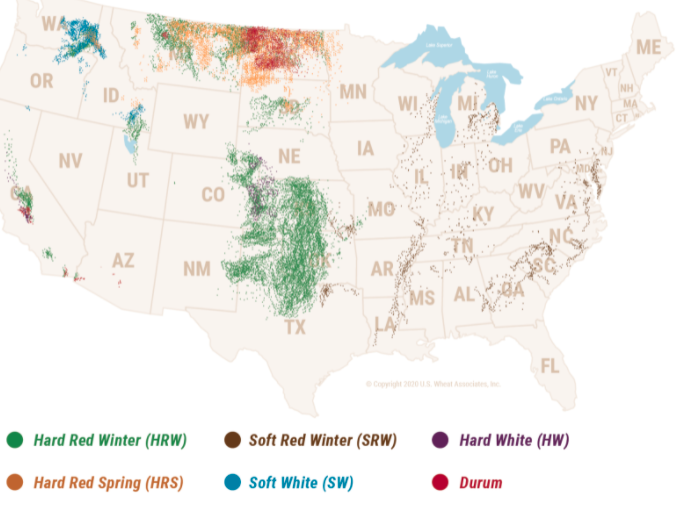 map of where wheat types are grown in the US