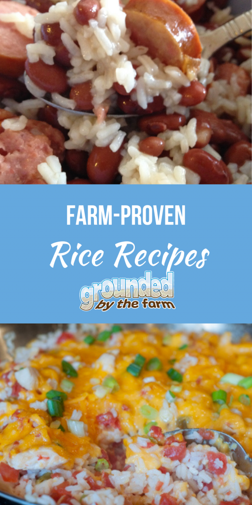 rice recipes Farm Proven