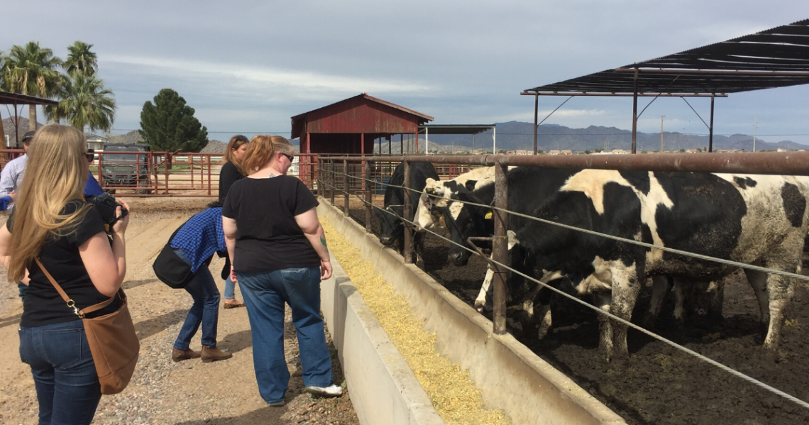 dairy farm tour