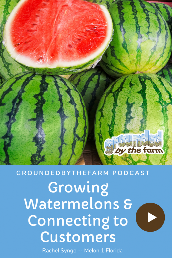 growing watermelons podcast episode