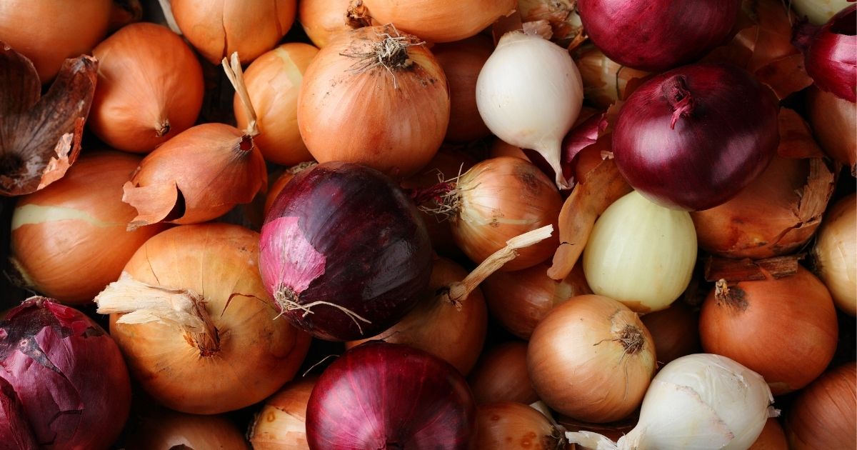 The Sweet & Savory Moments in Growing Onions & Enjoying Them in All The