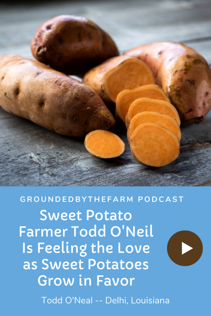 sweet potato farmer