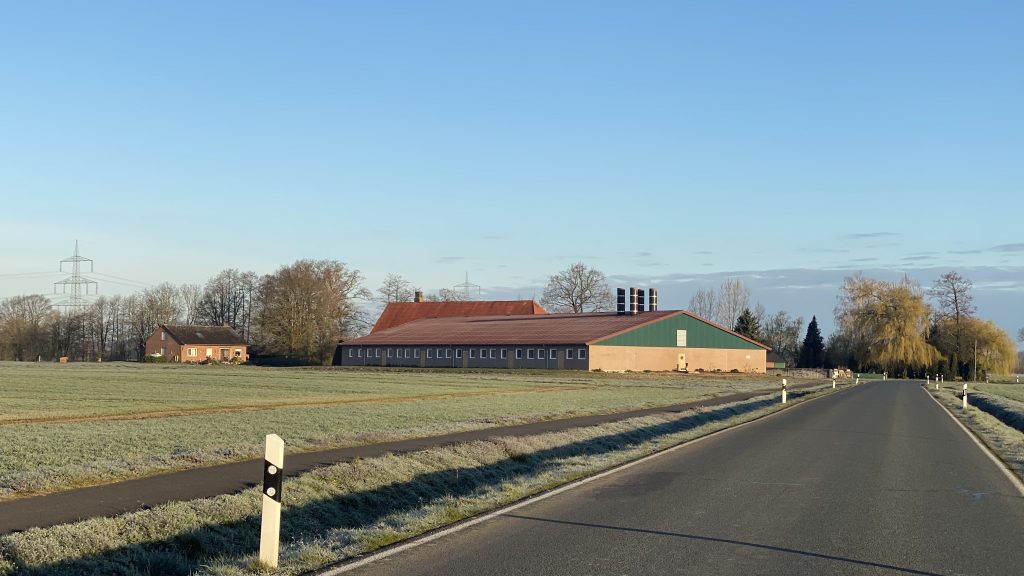 a pig farm in Europe