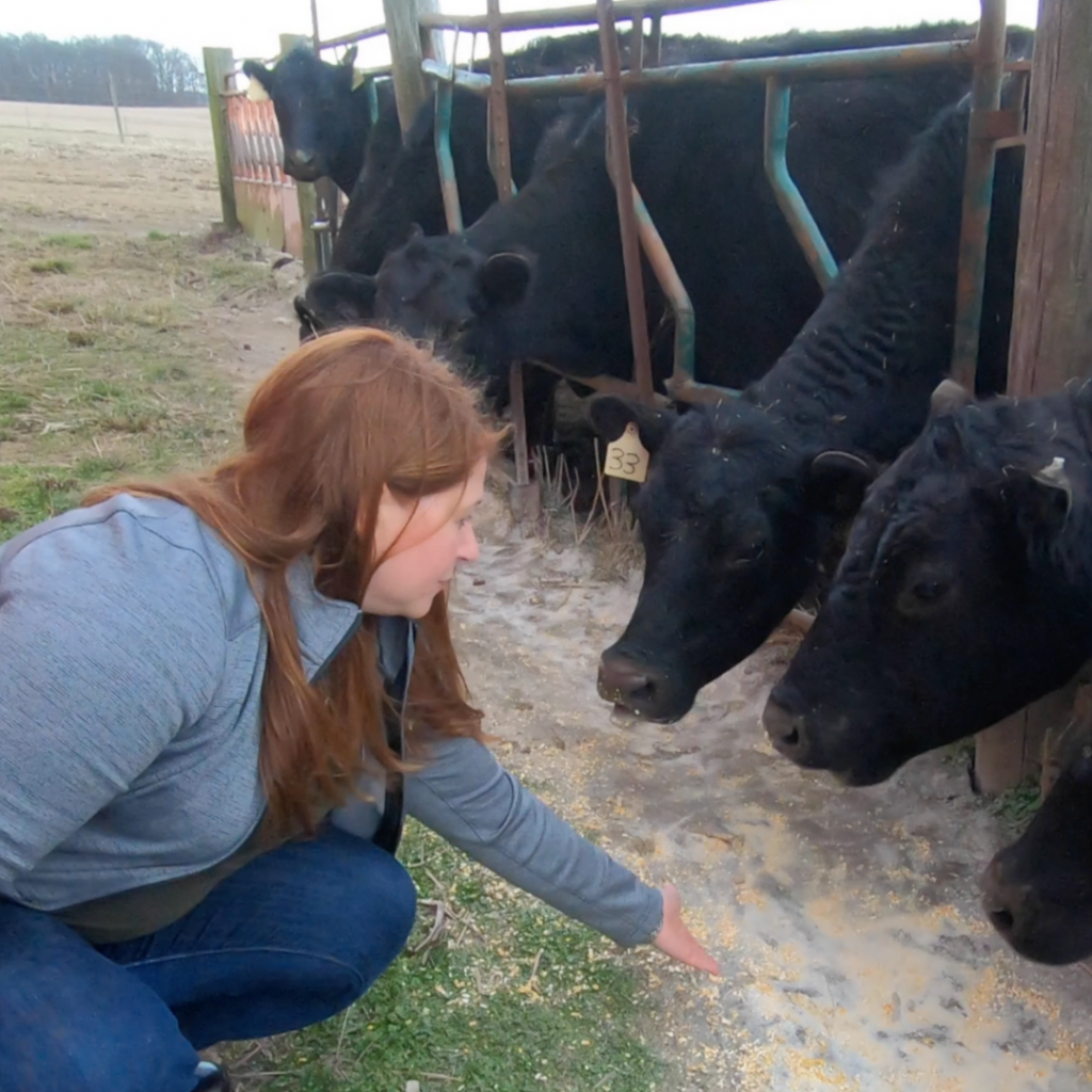 beef farmer & vet Marybeth Feutz