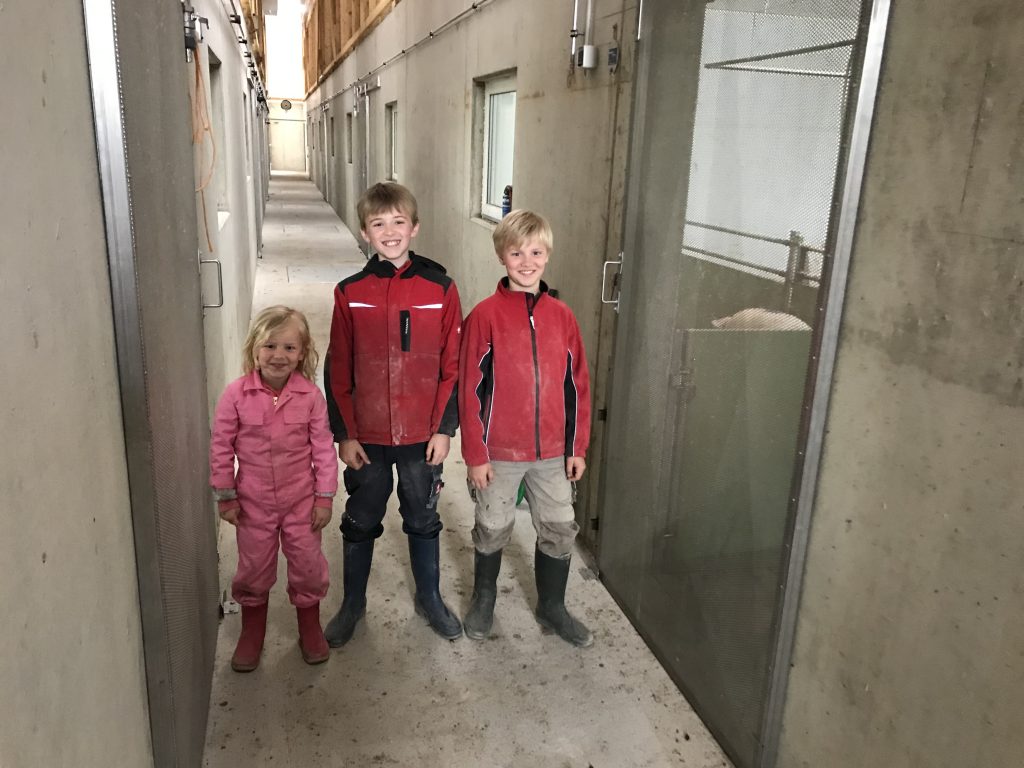 pig farming is a family business