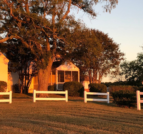 Hosting Farm Stays: A Love of Travel & Curiosity about Food Led Dana Zucker to Sugar Water Manor