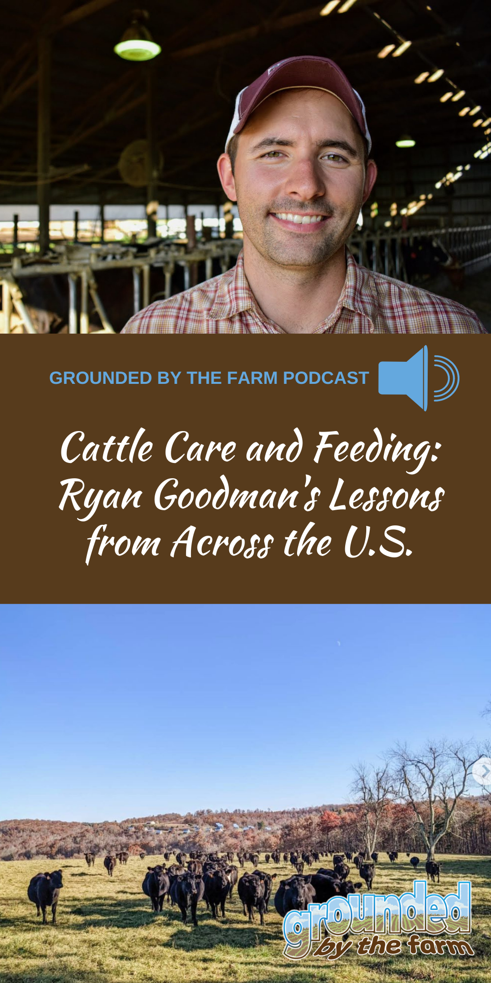 Cattle Care and Feeding: Ryan Goodman's Lessons from Across the United States