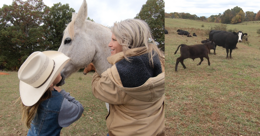 Cows Cast Iron And A Camera A Visit With This Farm Wife Meredith Bernard 9046