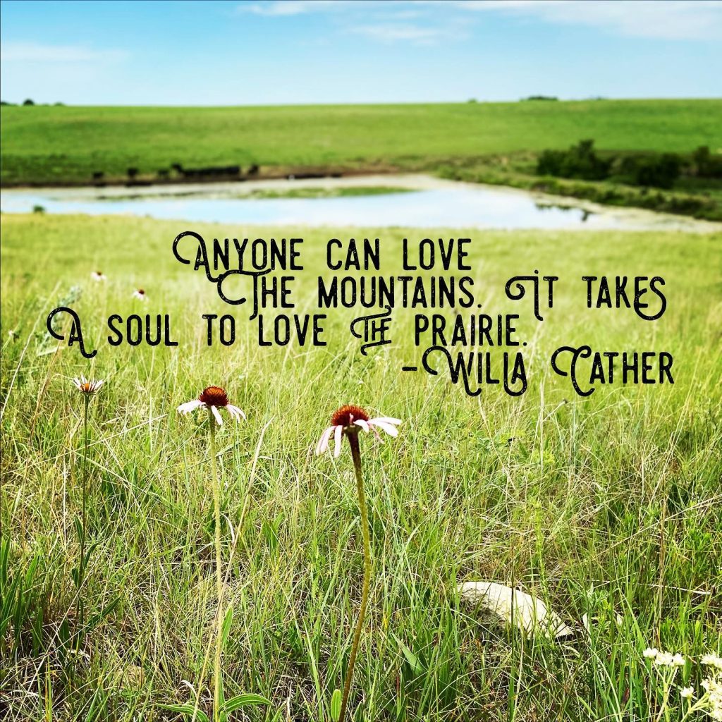 love the prairie