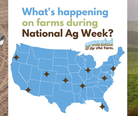 Celebrating National Ag Week and the Start of Spring!