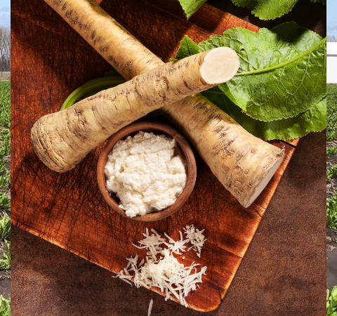Getting to the Root of Enjoying & Growing Horseradish!