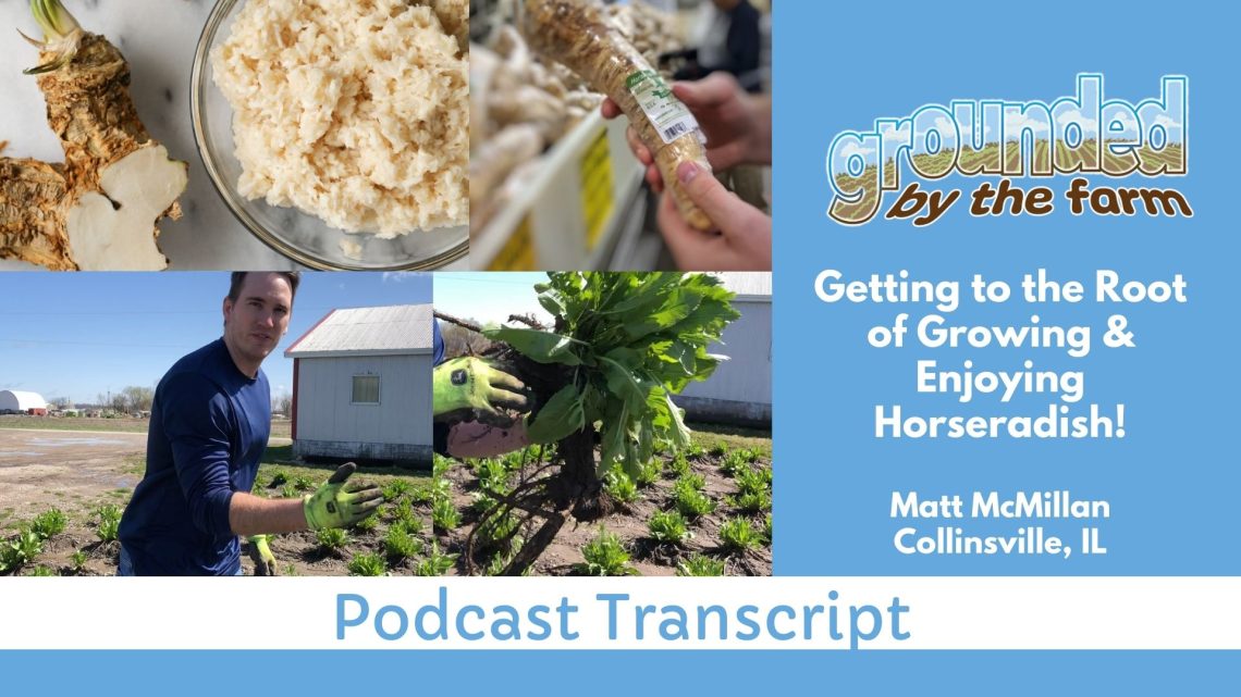 growing horseradish podcast transcript