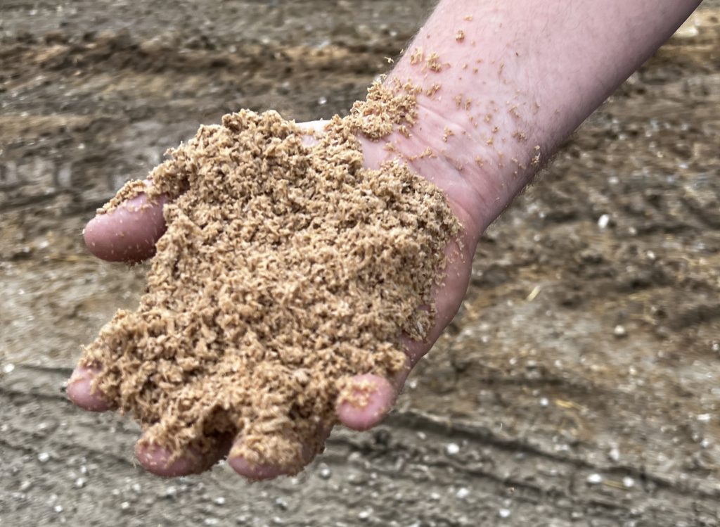 handful of brewer's grain