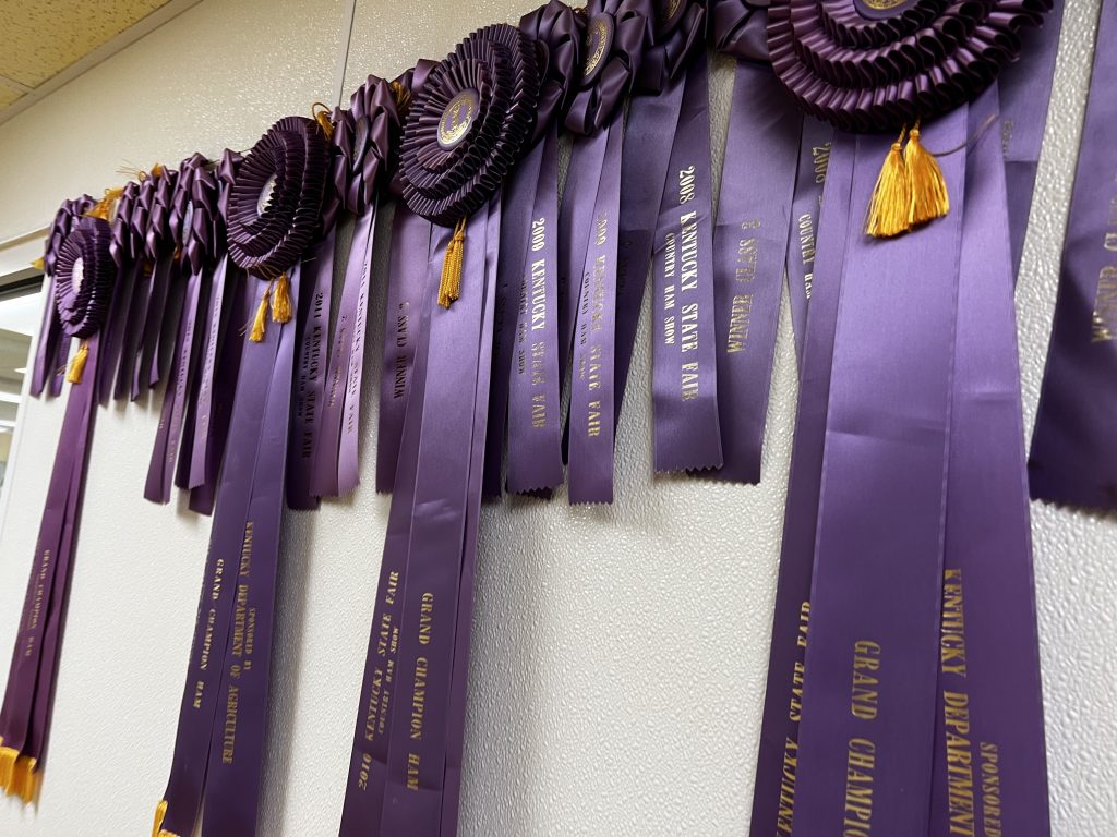 state fair ribbons