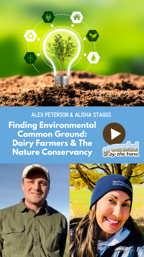 environmental common ground dairy pin