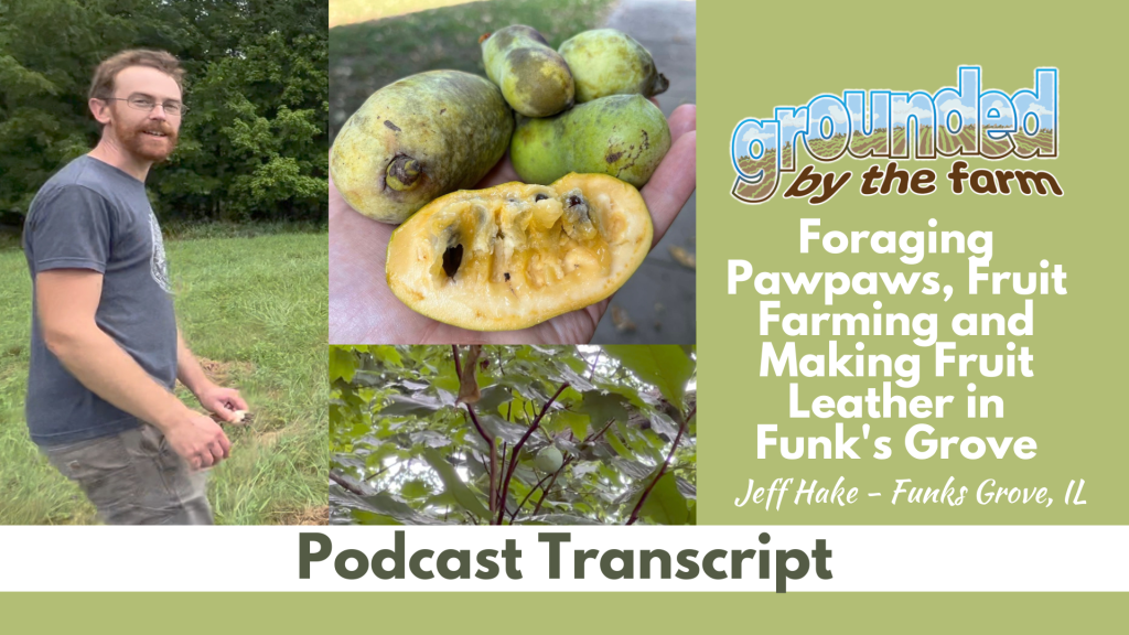 Picking Pawpaws, Grounded by the Farm, Episode 323 Transcript