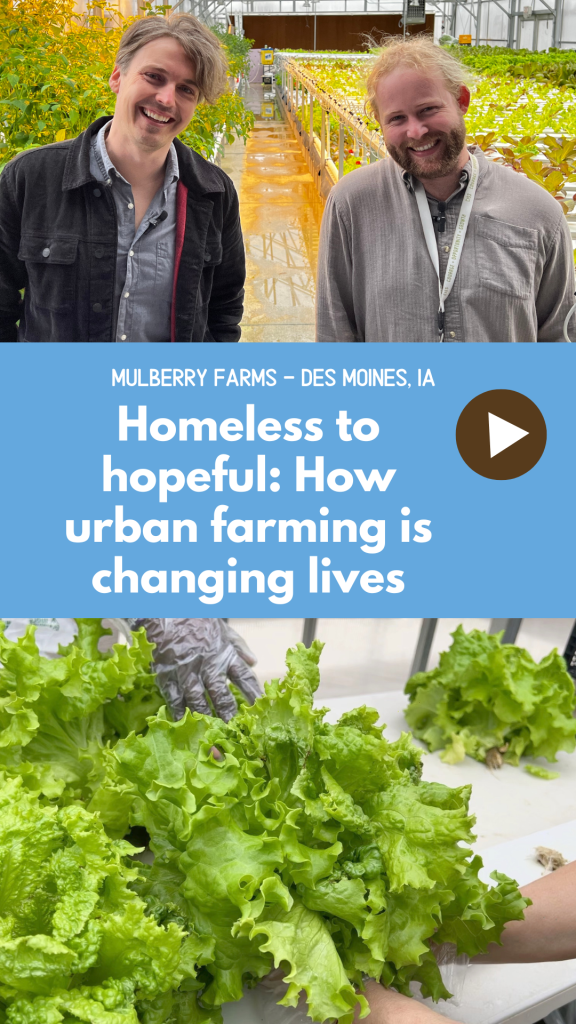 urban farm homeless shelter