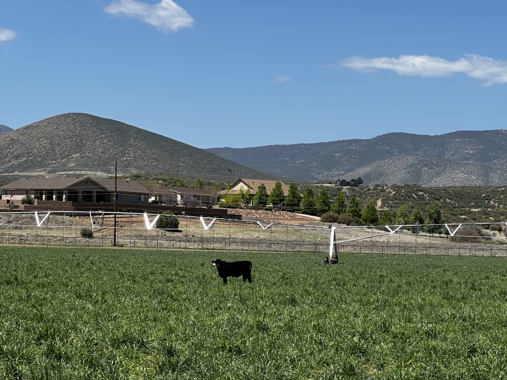 backyard garden and farm