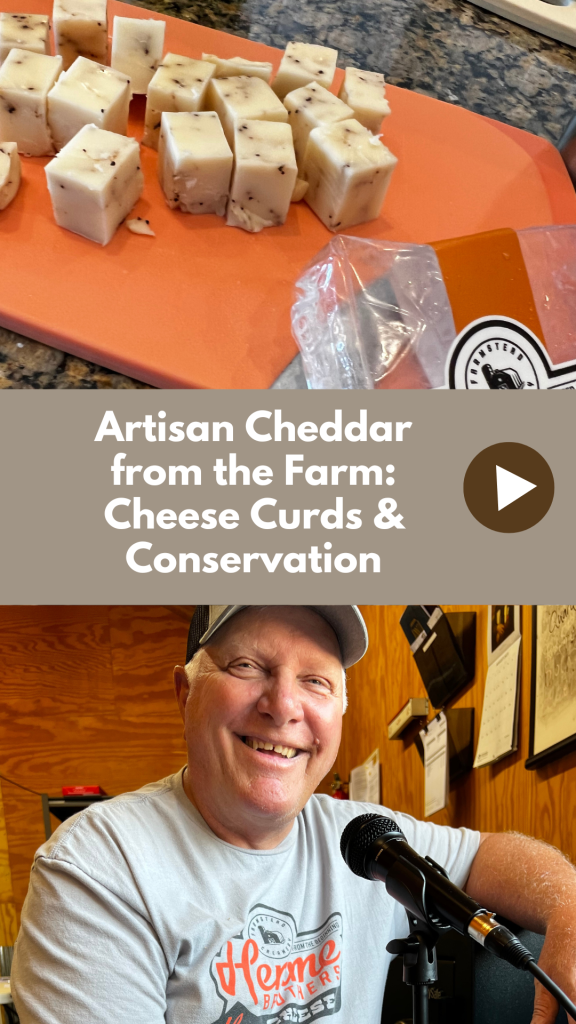 artisan cheddar cheese