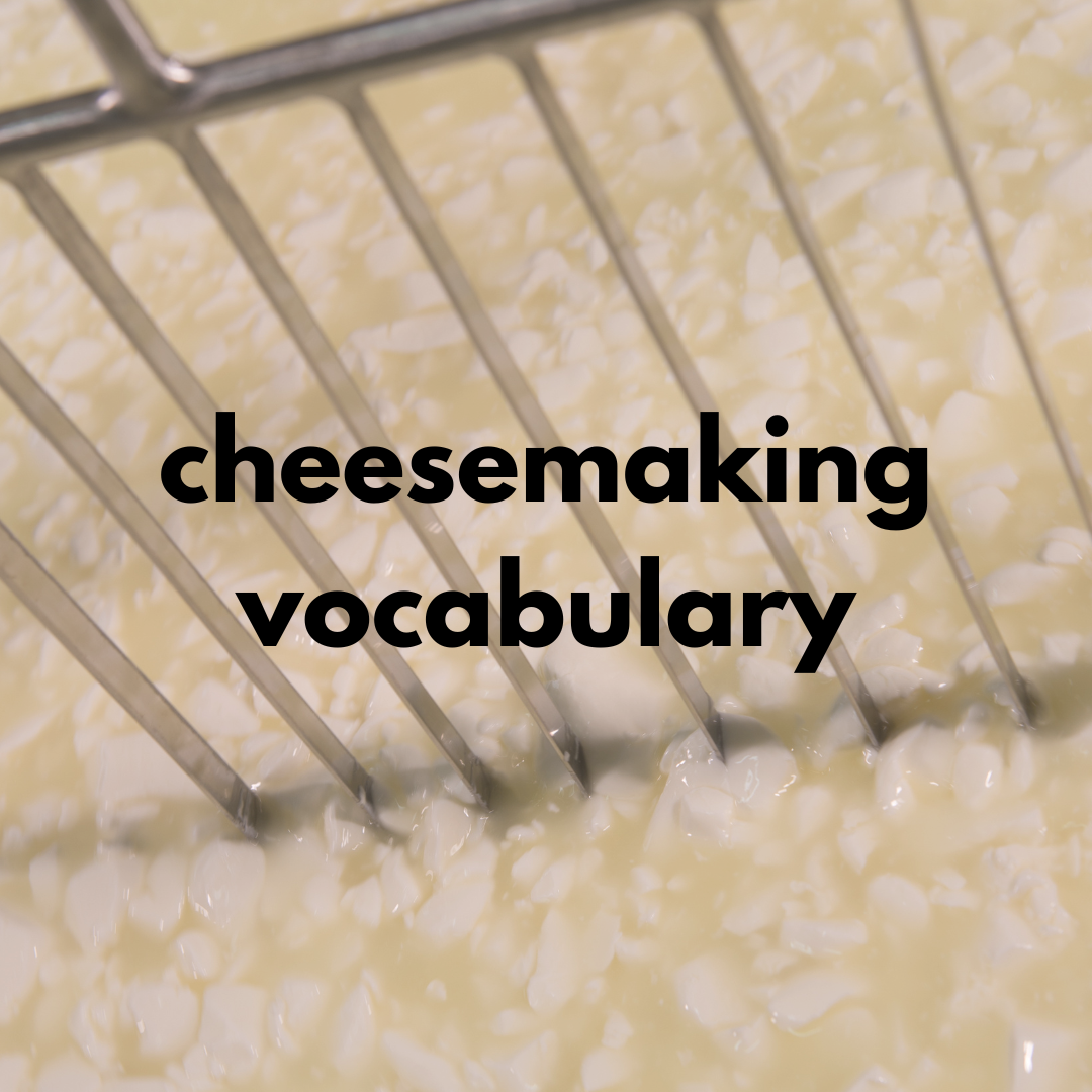 cheesemaking vocabulary